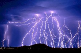 Disambaran Petir, Pria ini Diobati Dengan Tai Sapi dan Akhirnya Mati