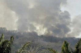 Brasil Menolak Tawaran Bantuan Dari Negara G7 untuk Amazon