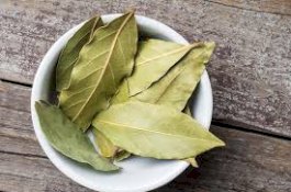 Daun Salam Bermanfaat untuk Penderita Diabetes Tipe 2