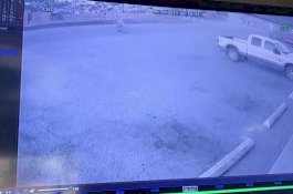 Perampok Lapor Polisi karena Mobilnya Dicuri saat Beraksi