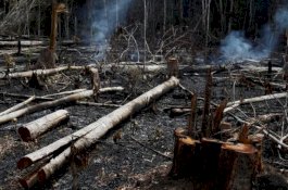 Krisis Amazon: Brasil Larang Pembakaran Selama Dua Bulan
