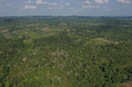 Ibu Kota Indonesia di Kaltim akan Diberi Nama Baru, Ada Usulan?