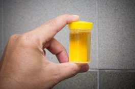 Karena Berbohong, Oknum Guru SD Ini Perintahkan Murid Minum Urinenya