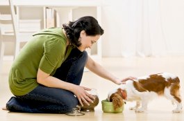 Lima Manfaat Mengejutkan Memelihara Hewan