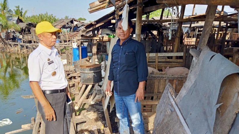 Peternakan babi di Jalan Haji Kalla, Makassar.