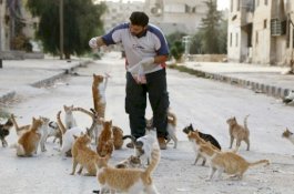 Kena Percikan Minuman Kucing, WNI di Malaysia Tusuk Rekannya Asal Bangladesh hingga Tewas