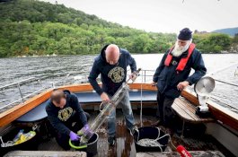 Ilmuan Sebut Mitos Monster di Skotlandia Kemungkinan Belut Raksasa