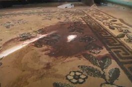 Tak Tahan Dianiaya, Istri Penggal Suami, Potong Vitalnya Lalu Lemparkan ke Anjing