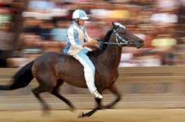 Usai Dikuasai ISIS, Warga Raqqa Gelar Kembali Pacuan Kuda