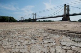 Gelombang Panas di Prancis Menewaskan Hampir 1.500 Orang Tahun ini