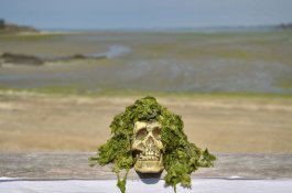 'Lendir Pembunuh' Menghantui Orang-orang di Prancis