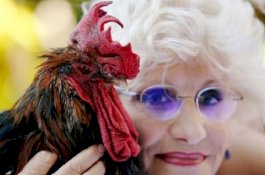 Sengketa Serius, Pengadilan di Prancis Putuskan Seekor Ayam Jantan Tetap Dibolehkan Berkokok