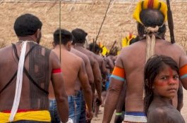 Suku-suku Asli Brasil Hentikan Perang demi Kelestarian Lingkungan