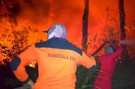 Andalkan 2 Mobil, Damkar Bantaeng Berupaya Padamkan Kebakaran Puluhan Hektare Hutan dan Lahan