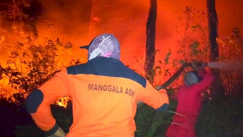 Petugas Damkar berusaha memadamkan kebakaran hutan dan lahan di Bantaeng.