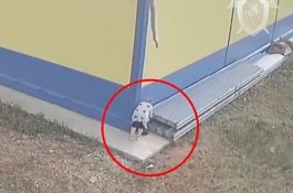 Usai Melahirkan di Semak-semak, Wanita ini Terekem CCTV Buang Bayinya di Luar Supermarket