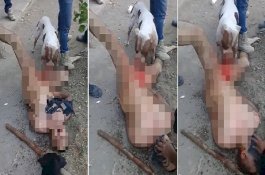 Geng Meksiko Siksa Pemerkosa, Ditelanjangi dan Anjing Dibiarkan Koyak Alat Vitalnya