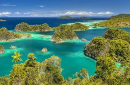 Liburan ke Raja Ampat, Swiss-Bel Hotel Sorong Tawarkan Berbagai Fasilitas