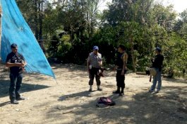 Gerebek Sabung Ayam di Bulukumpa, Polisi Cuma Dapati 2 Motor dan 5 Ekor Ayam