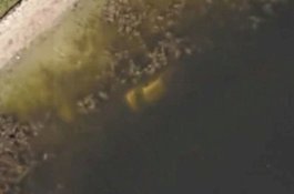 Sisa Jasad yang Hilang selama 20 Tahun Ditemukan Berkat Google Maps