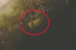 Google Maps Bantu Pecahkan Misteri Orang Hilang 22 Tahun Lalu