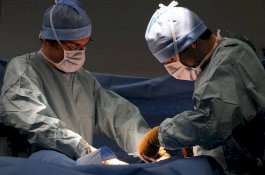 Penis Pria Ini Dipenuhi Tumor Hingga Tak Bisa Seks, Lalu Sembuh dengan Madu