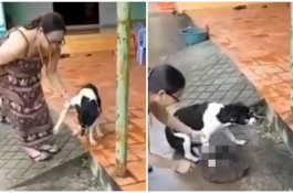 Wanita di Vietnam Potong Kaki Anjingnya yang Suka Kejar Ternak Tetangga