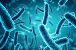 Kolera Renggut 5 Nyawa di Sudan Sejak Agustus