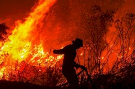 Pemerintah Hanya Berharap Hujan Padamkan Karhutla, Bisa Ditetapkan Jadi Bencana Nasional