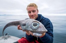 Nelayan Ini Tangkap Ikan Seperti Dinosaurus, Mengerikan!