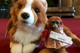 Gadis Australia Kehilangan Bonekanya, Dikembalikan oleh Ratu Elizabeth