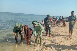 Peduli Pantai, TNI Bersama Warga Tanam Bakau di Pulau Puteanging Barru