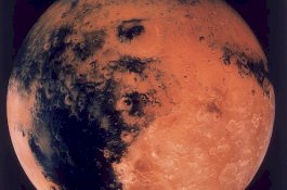 Bagaimana Manusia Dapat Bertahan Hidup di Mars Dengan Makan Serangga