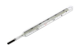 Mau 'Enak-enak', Pria Ini Masukkan Termometer ke Penisnya dan Tak Bisa Keluar