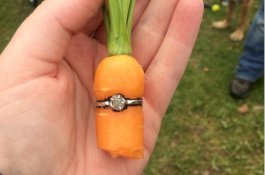 Pria ini Lamar Kekasihnya Dengan Cincin Berlian yang Ditumbuhi Wortel