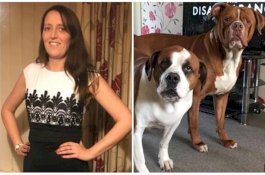 Ibu Tewas Diserang Anjing Peliharaannya, Anaknya Berlari Minta Tolong ke Tetangga