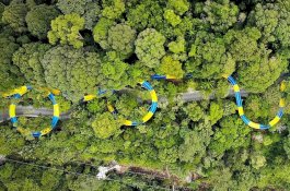 Seluncuran Air Terpanjang di Dunia Telah Dibuka di Malaysia