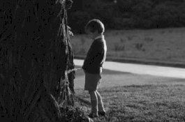 2 Bocah Tewas Dikeroyok Warga Gara-gara Buang Air Kecil di Jalan