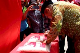 Pertama di Indonesia, Bulukumba Kini Punya Beras 'Si Baco'