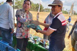 Panen Raya di Abbokongang, Wabup Sidrap Kutip Lagu Bugis Ini