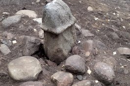 Arkeolog Gali Batu Raksasa Berbentuk Penis di Swedia