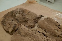 Arkeolog Ungkap Wajah Putri Firaun yang Hidup Hampir 4.000 Tahun Lalu