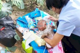 Dikira Suara Kucing, Ternyata Bayi Dikerubungi Semut di Semak-semak