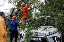 Parkir di Depan Tempat Pengajian di Palu, Expander Tertimpa Pohon Tumbang