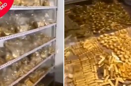 Polisi Temukan Ratusan Emas Batangan di Rumah Koruptor China, Nilainya Rp9 T