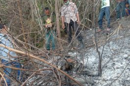 Warga Bone Ditemukan Tewas Terbakar Api di Kebunnya