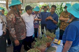 Gelar Teknologi Pertanian Syngenta Dihadiri Ratusan Petani Jagung