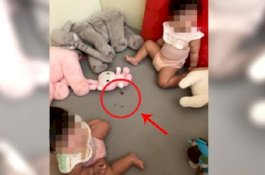 Ibu Ngeri Pergoki Putri Balitanya Makan Kecoak Saat Bermain Sendiri