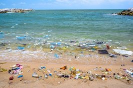 Coca-cola Luncurkan Botol Daur Ulang dari Sampah Plastik Laut