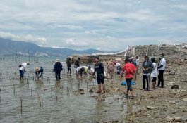 Dihadiri Pasha, Komunitas Peduli Sesama 90 Tanam Mangrove di Bekas Tsunami Palu